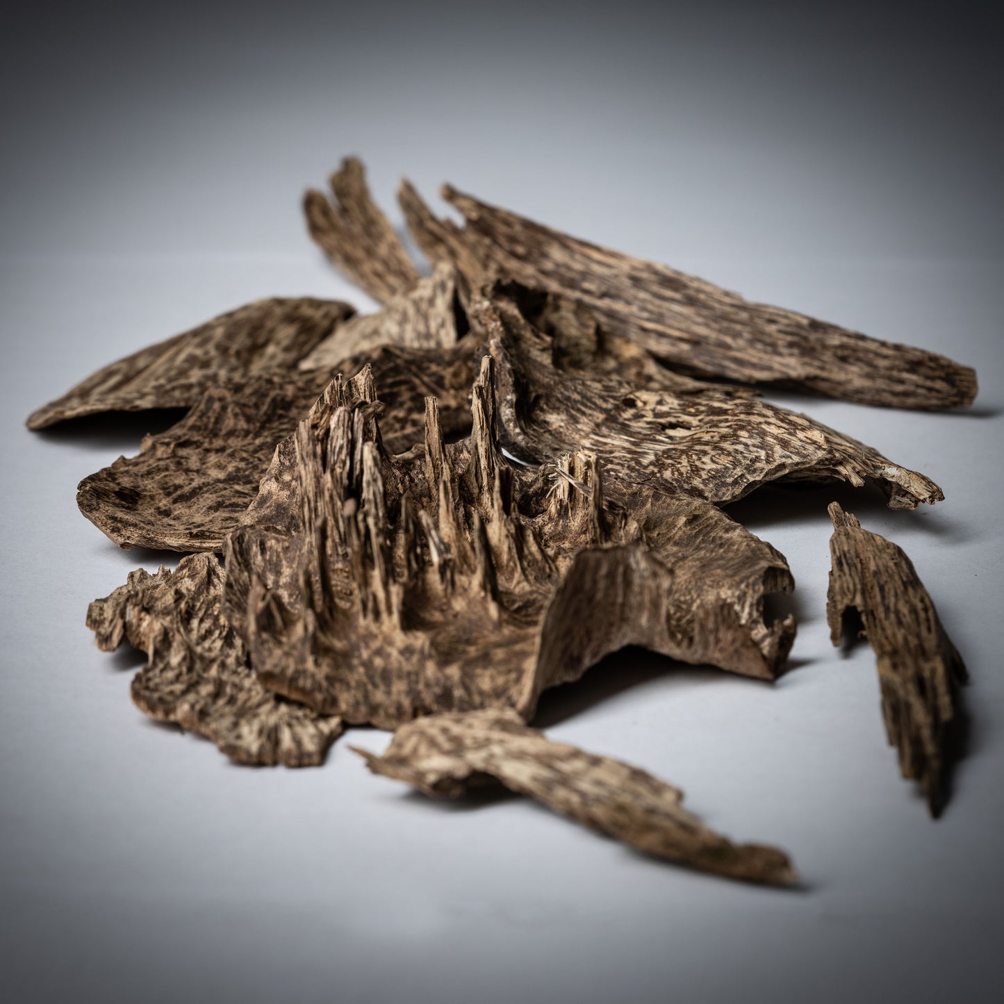 عود سيلاني فاخر