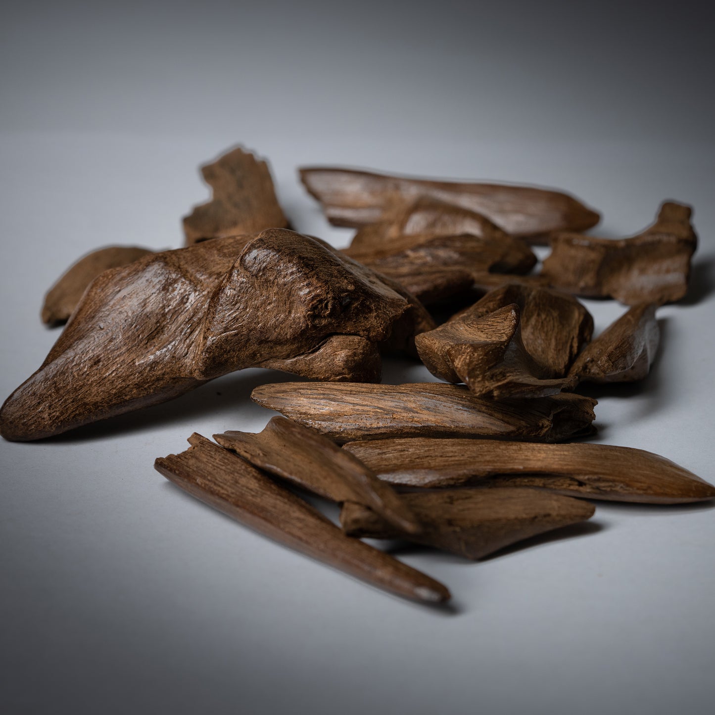 عود موركي ملكي