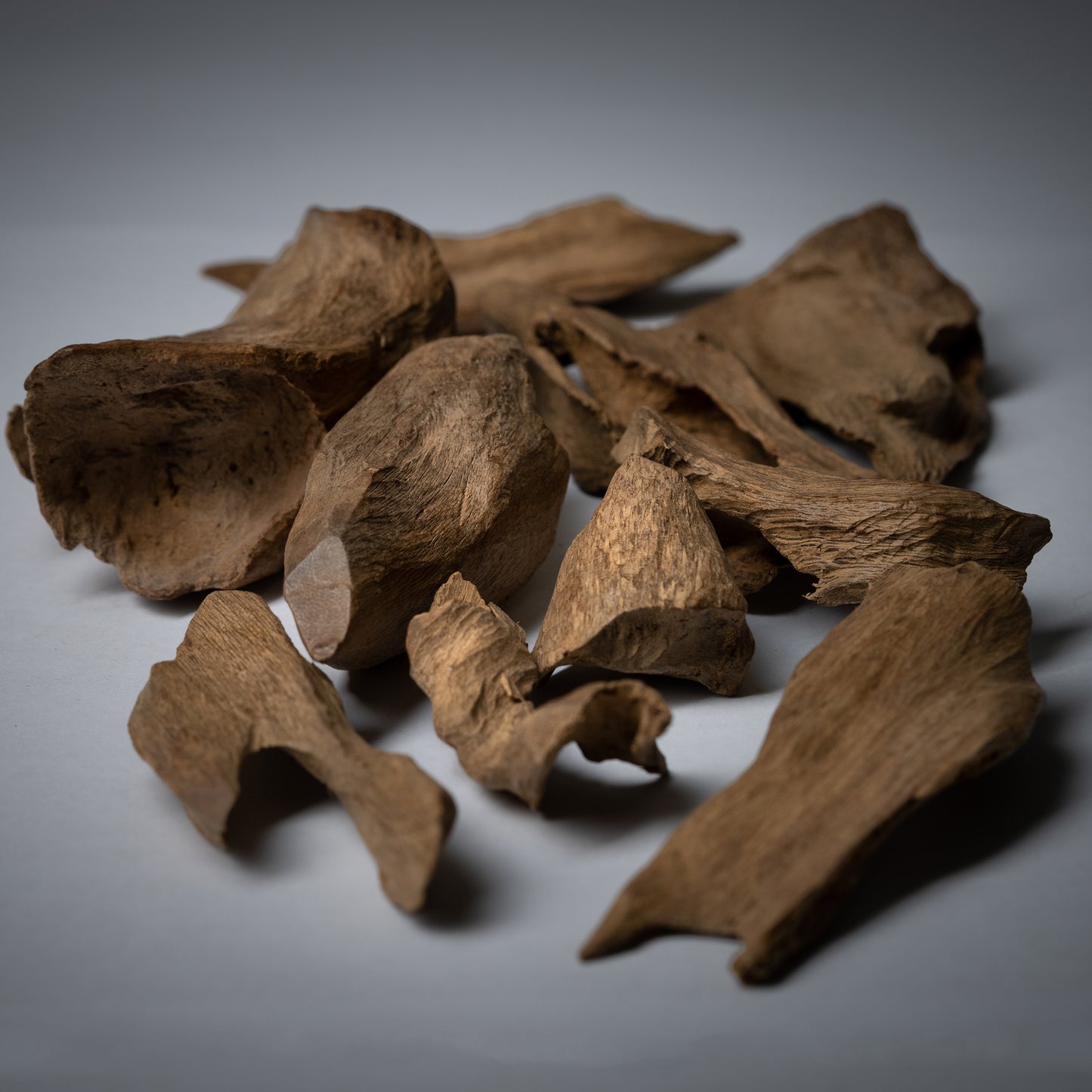 عود موركي فاخر