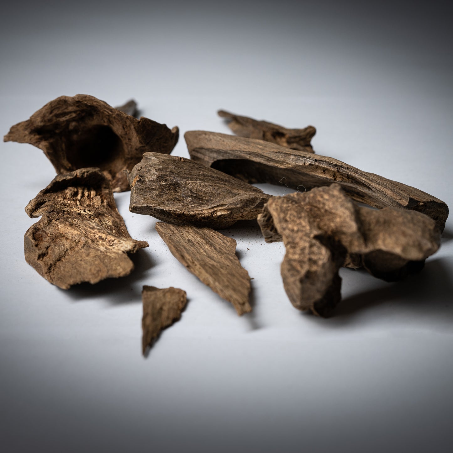 عود سيلاني ملكي