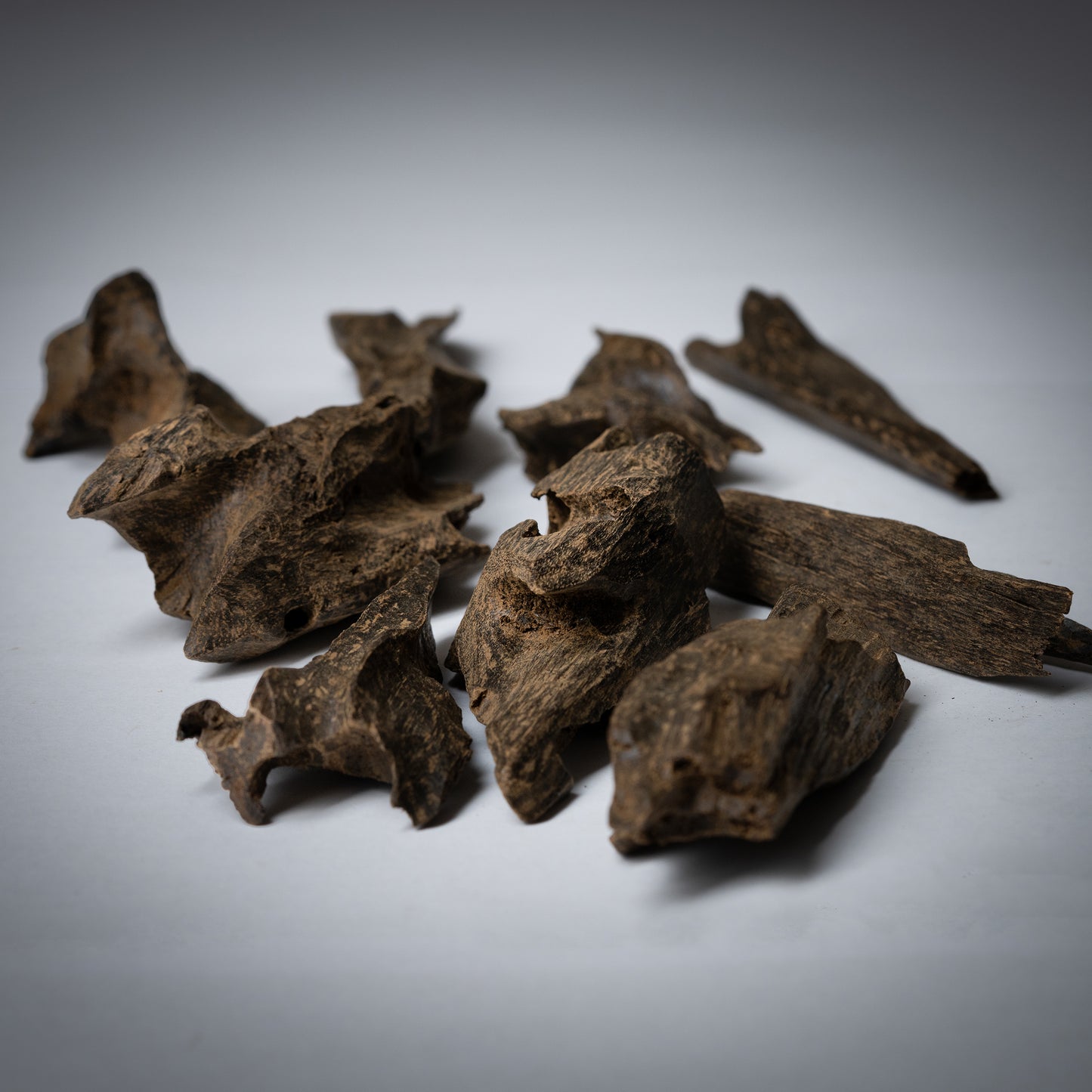 عود بوتان ملكي