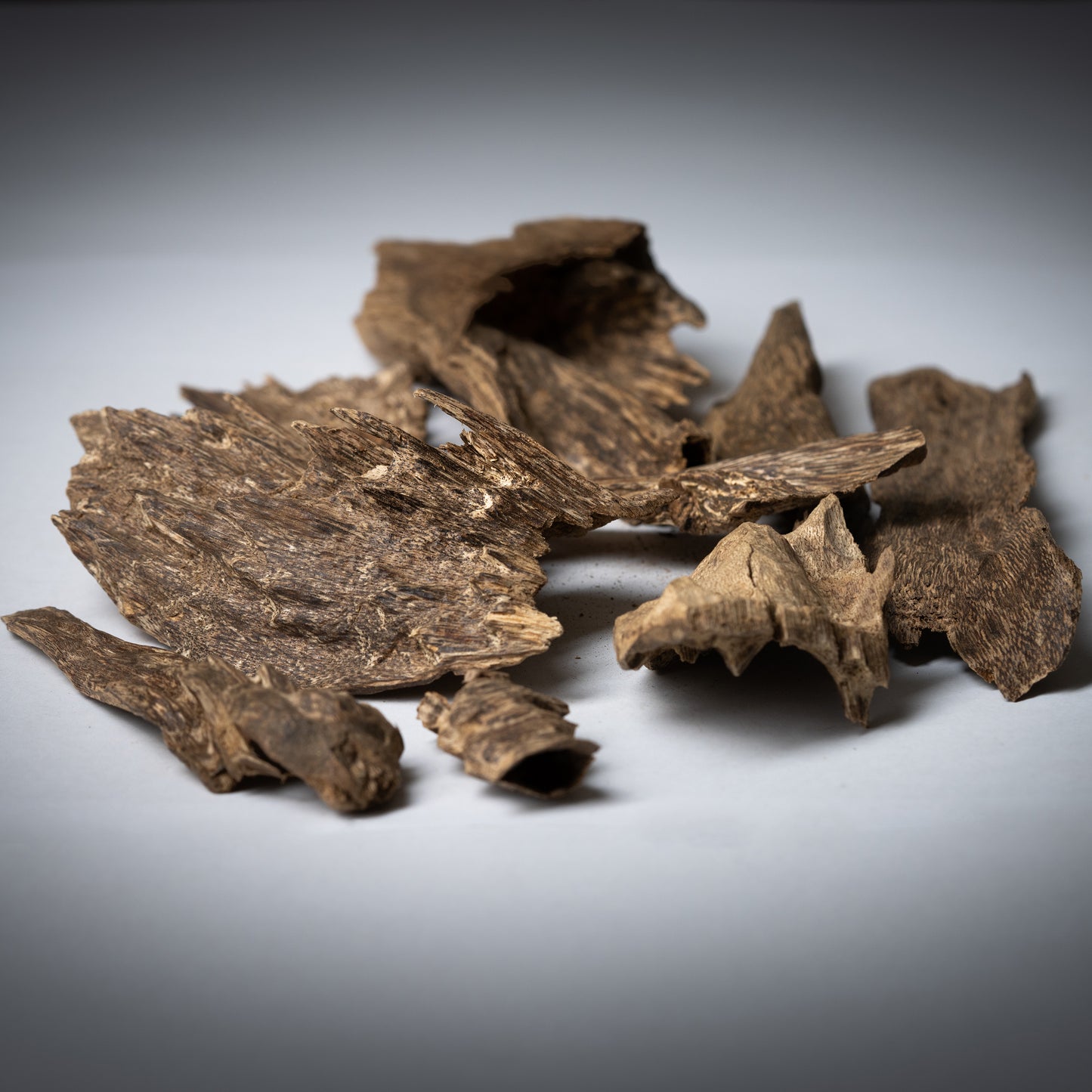 عود دقة كلمنتان فاخر